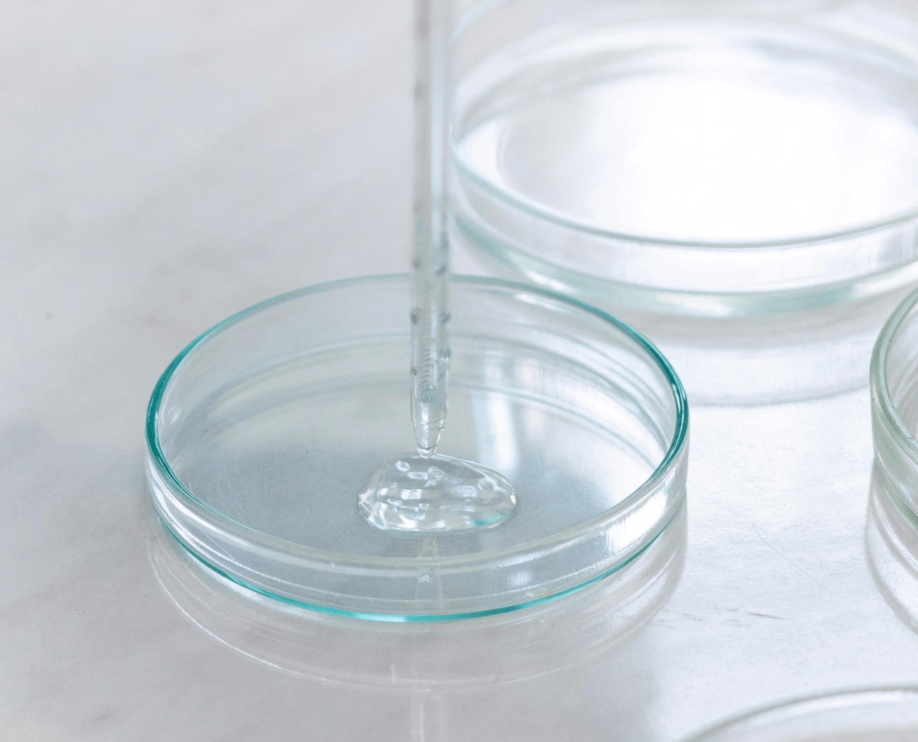 polyquaternium-7 pflegend Pferde